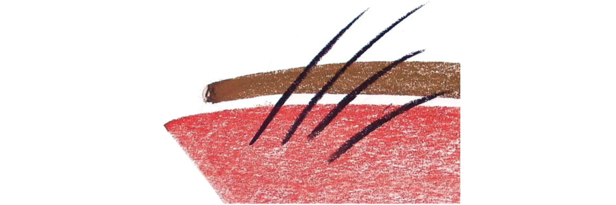 Lineares und flächiges Zeichnen mit Kreiden - Lineares und flächiges Zeichnen mit Kreiden