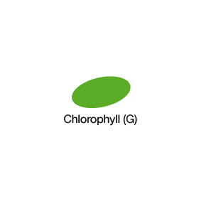 GRAPHIT Marker mit Rund- / Keilspitze Alkohol-basiert, Farbe: Chlorophyll (8150)