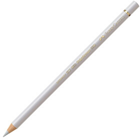 Künstlerfarbstift Polychromos - kaltgrau I