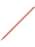 Künstlerfarbstift Polychromos - Farbe 189 Zimtbraun