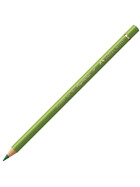 Künstlerfarbstift Polychromos - Farbe 168 Grünerde gelblich