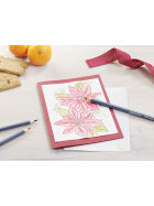 Aquarellstift Goldfaber Aqua - 48er Metalletui