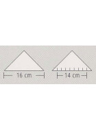 TZ-Dreieck 16cm Acrylglas glasklar rot hinterlegt