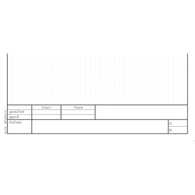 Schulzeichenkarton A4, 190 g/m² - kariert, Randdruck und Schul-Schriftfeld, 250 Blatt