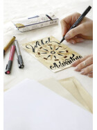 Tuschestift PITT® Artist Pen Calligraphie 4er Etui Erdtöne
