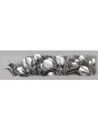 Tuschestift PITT® Artist Pen, schwarz und weiß, 4er Etui