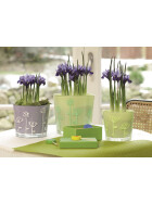 Kreidemarker 4090 Keilspitze 4-15 mm - 5er Box Nebenfarben