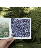 Skizzenblock Authentic Aquarell rau, weiss 14 x 14 cm - 24 Blatt, 280 g/qm
