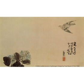 Acrylkarten A6 420 g/qm - 20 er Kartonschachtel #haikucards