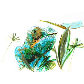 Dualmarker PITT® Artist Pen - 5er Etui Tiere