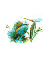 Dualmarker PITT® Artist Pen - 5er Etui Tiere