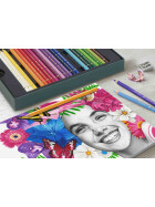 Polychromos & Pitt Graphite Matt 40er