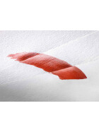 Aquarellblock "Britannia" 12 Blatt, 300 g/qm, matt - 9 Formate