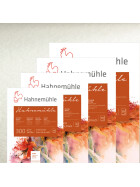 Aquarellblock "Hahnemühle" 300 g/qm, 10 Blatt matt - 4 Formate