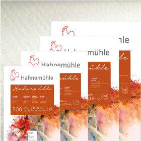 Aquarellblock "Hahnemühle" 300 g/qm, 10...
