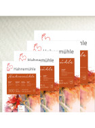 Aquarellblock "Hahnemühle" 300 g/qm, 10 Blatt rau - 4 Formate