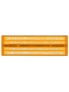 Schriftschablone Duo Script für Fineliner und Feinminenstifte