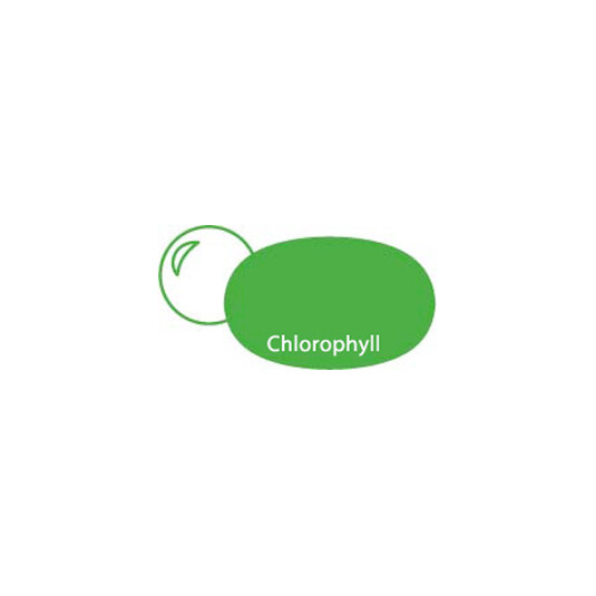 Chlorophyll