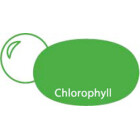 Chlorophyll