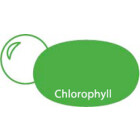 Chlorophyll