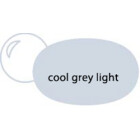 Cool Grey Light