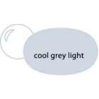 Cool Grey Light