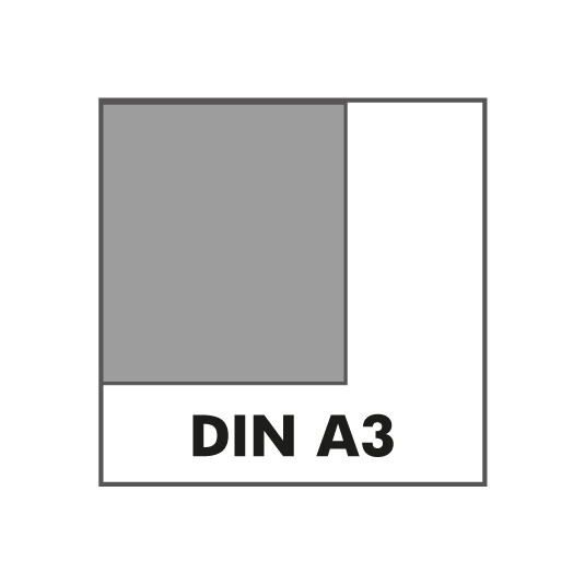 A3