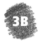 3B