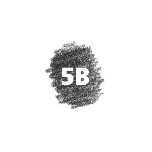 5B