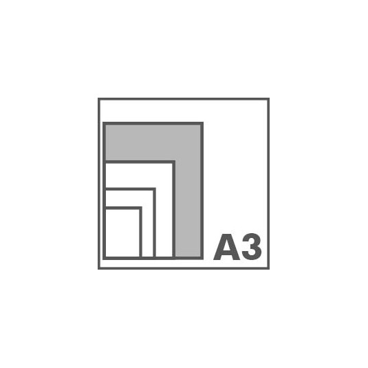 A3
