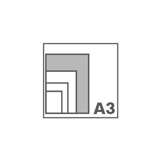 A3