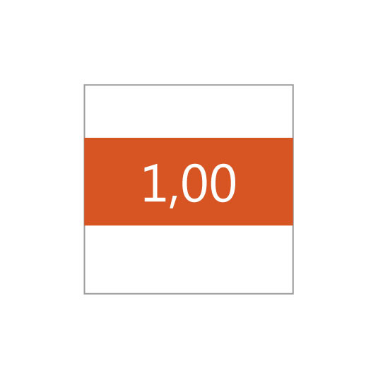 1,00 mm