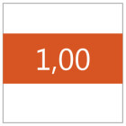 1,00 mm