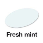 Fresh mint