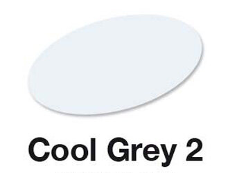 Cool Grey 2
