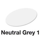 Neutral Grey 1