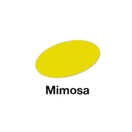 Mimosa