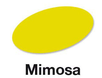 Mimosa