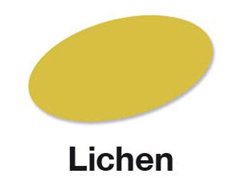 Lichen