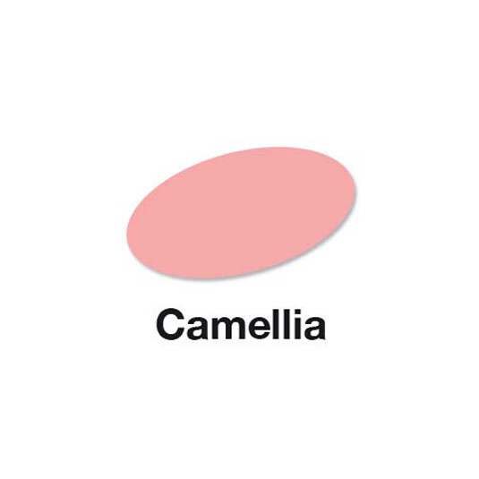 Camellia