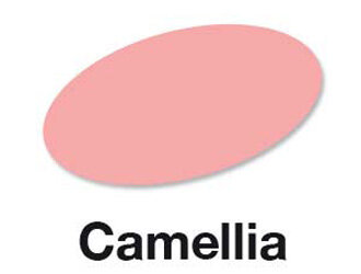 Camellia