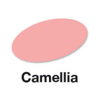 Camellia