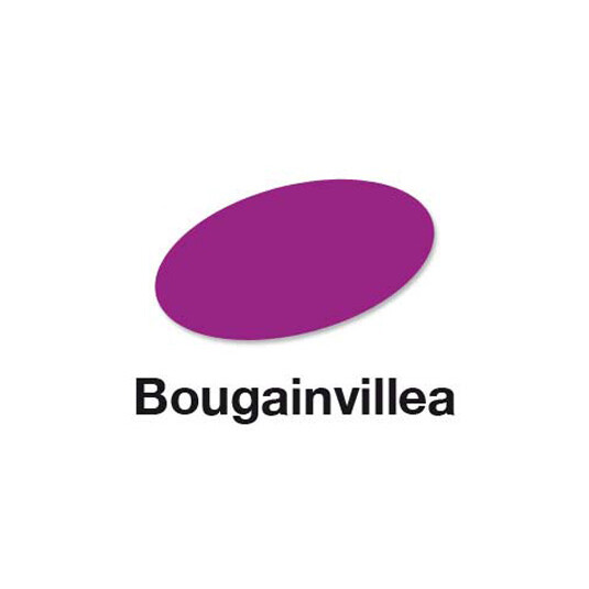 Bougainvillea