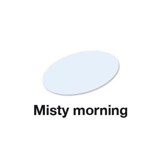 Misty Morning