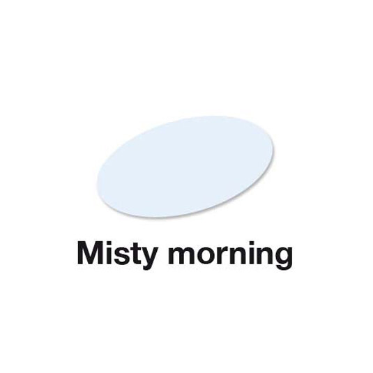 Misty Morning