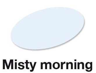 Misty Morning