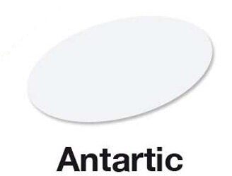Antartic