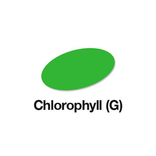 Chlorophyll