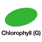 Chlorophyll