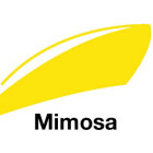 Mimosa